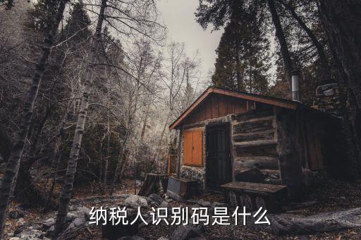 稅務(wù)識(shí)別碼有什么用，納稅人識(shí)別碼是什么