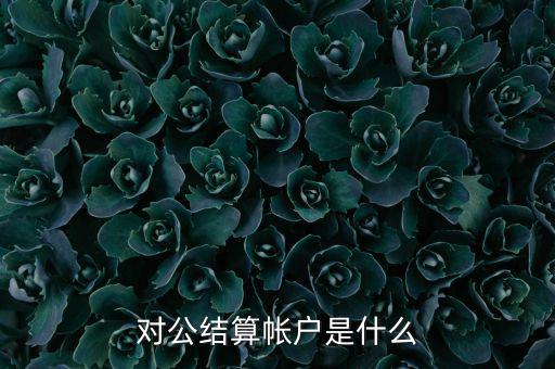 什么是稅務待結(jié)算賬戶，結(jié)算賬戶有哪些