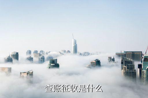 什么是查賬征收，查賬征收是什么