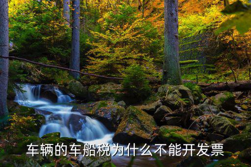 為什么車船稅沒有發(fā)票，車輛的車船稅為什么不能開發(fā)票