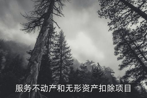 扣除項目 5什么意思，新個稅六項專項扣除是什么意思