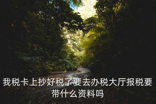 報稅廳抄報需要帶什么資料，抄稅需要帶些什么資料