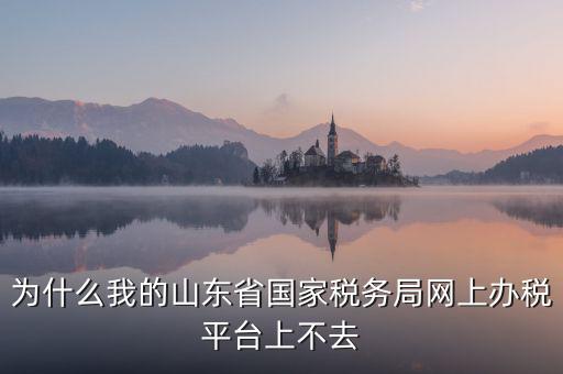 為什么登陸不了網(wǎng)上辦稅廳，為什么我的山東省國家稅務(wù)局網(wǎng)上辦稅平臺上不去