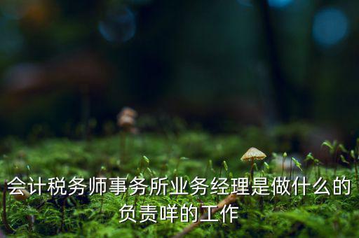 稅務(wù)師事務(wù)所做什么的，稅務(wù)所是干什么的