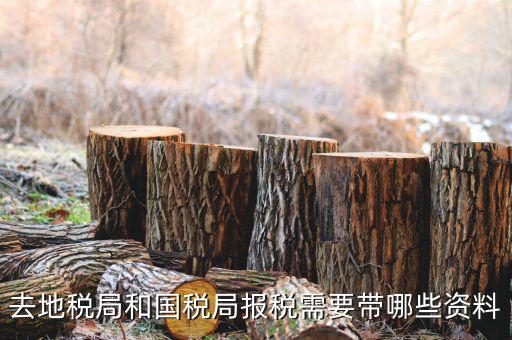 地稅局交稅需要什么，去地稅局繳納營業(yè)稅金及附加需要帶什么資料