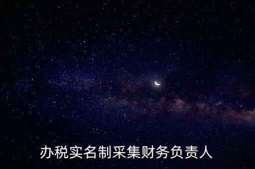 辦稅實(shí)名制采集財務(wù)負(fù)責(zé)人