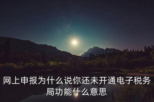 電子稅務(wù)局是干什么，企業(yè)金稅盤系統(tǒng)用來(lái)開(kāi)票抄稅報(bào)稅用那登錄國(guó)稅地稅局網(wǎng)站是干嘛的