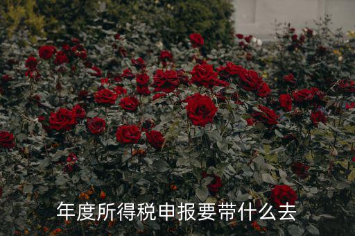 納稅申報應帶什么東西，你好 到稅務局報稅需要帶什么東西怎么報