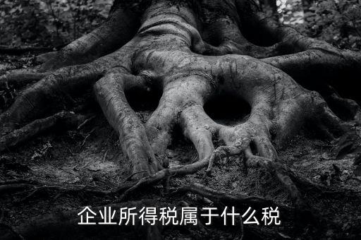 企業(yè)所得稅是什么稅，所得稅包括什么稅