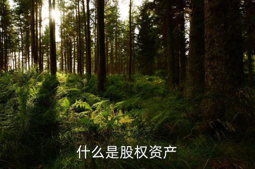 什么是資產(chǎn)股權(quán)特殊性劃轉(zhuǎn)，什么是股權(quán)劃轉(zhuǎn)股權(quán)劃入方股權(quán)劃出方