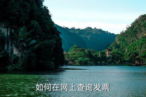 發(fā)票在什么網站查，有什么網站可以查詢發(fā)票的真?zhèn)窝?/></a></span><span id=
