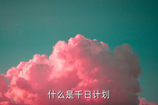 千戶集團(tuán)計(jì)劃 是什么，什么是千日計(jì)劃