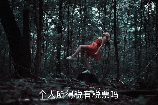 個人所得稅是什么發(fā)票，個人所得稅有稅票嗎
