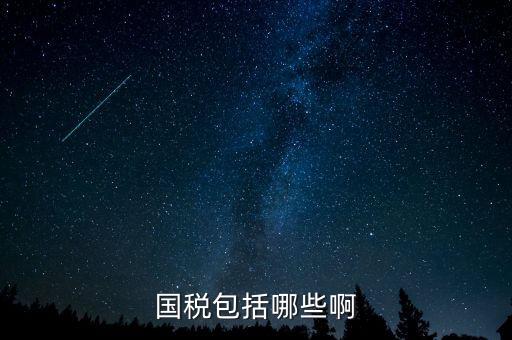 國(guó)稅涵蓋什么，國(guó)稅包括哪些啊