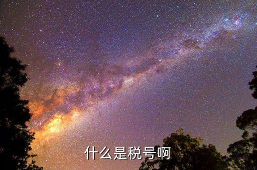 公司稅號是什么，公司的稅號一般有多少位