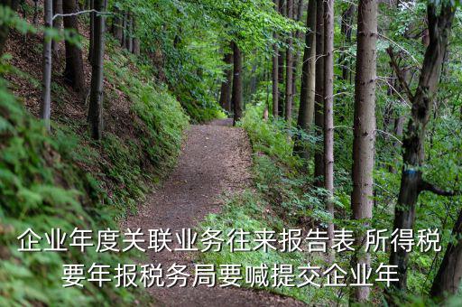 國(guó)稅關(guān)聯(lián)表是什么意思，所得稅中關(guān)聯(lián)關(guān)系是什么意思