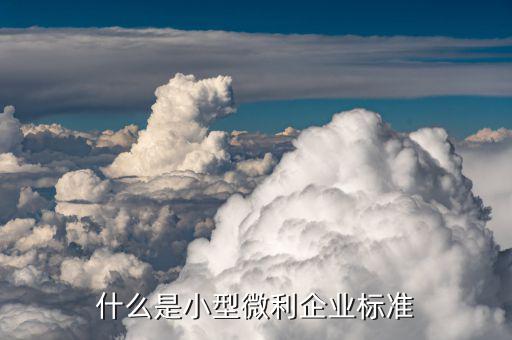 什么是小微企業(yè)標準，什么是小微企業(yè)標準