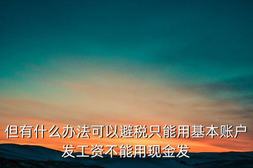 什么是國稅存量賬戶，但有什么辦法可以避稅只能用基本賬戶發(fā)工資不能用現(xiàn)金發(fā)