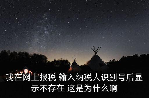 我在網(wǎng)上報(bào)稅 輸入納稅人識別號后顯示不存在 這是為什么啊