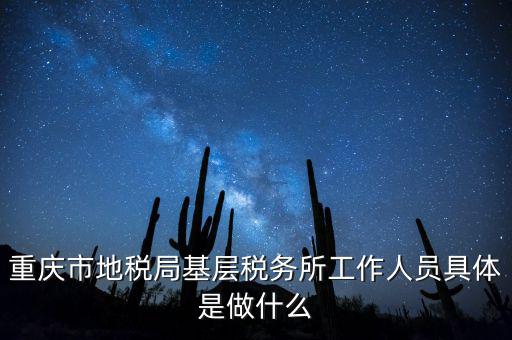 重慶地稅局前臺做什么的，重慶市地稅局基層稅務所工作人員具體是做什么