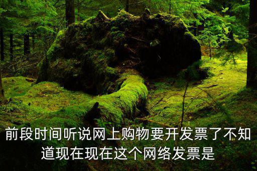 網(wǎng)絡(luò)發(fā)票是什么，在網(wǎng)上買東西電子發(fā)票與普通發(fā)票有區(qū)別嗎