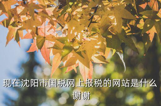 國稅交稅的網站是什么，現(xiàn)在沈陽市國稅網上報稅的網站是什么 謝謝