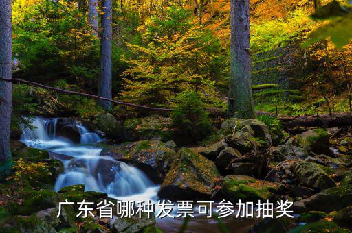 什么發(fā)票可以抽獎，廣東省哪種發(fā)票可參加抽獎