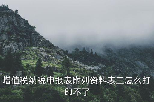 為什么打印不了附加稅申報(bào)表，納稅申報(bào)的報(bào)表打印不出來怎么辦