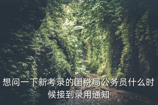 國稅錄取通知什么時候，今年國稅公務(wù)員正式錄用公告什么時候出