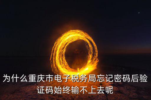 重慶電子稅務局什么時間開始，重慶渝北區(qū)地稅局就是一支路那個的作息時間是幾點到幾點啊