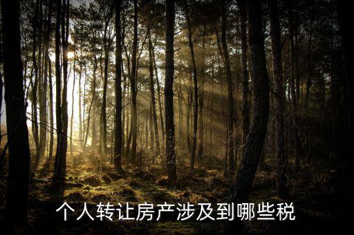 個人出售住房交什么稅，賣房子要交20的稅