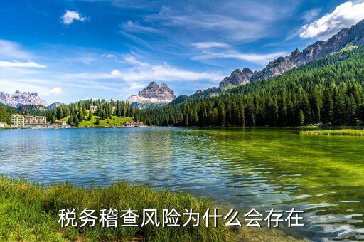 稅務(wù)稽查風險為什么會存在