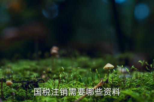 稅務(wù)注銷需要什么資料，請問注銷稅務(wù)登記證需要什么資料