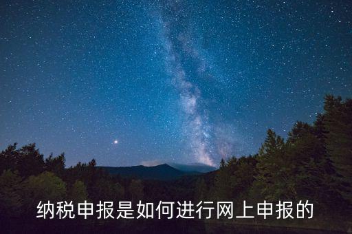 納稅人的網(wǎng)上申報(bào)屬于什么方式，網(wǎng)上申報(bào)屬于