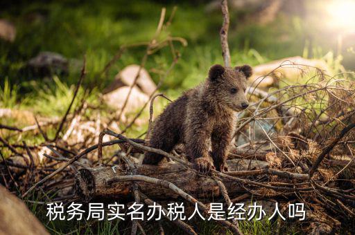 辦稅負責(zé)人是什么意思，現(xiàn)在實行的辦稅人員實名登記其中的財務(wù)負責(zé)人辦稅人員發(fā)票經(jīng)辦人
