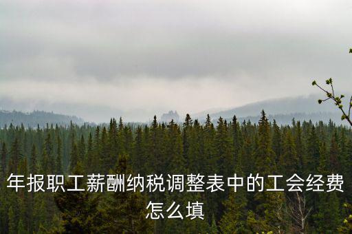 工會經費應稅項填什么，網上報稅時又多了一項工會經費怎樣填寫計算