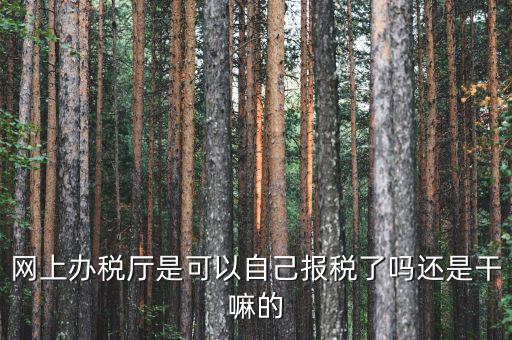 什么是網(wǎng)上辦稅服務(wù)廳，電子申報管理系統(tǒng)和網(wǎng)上辦稅大廳有什么不同的
