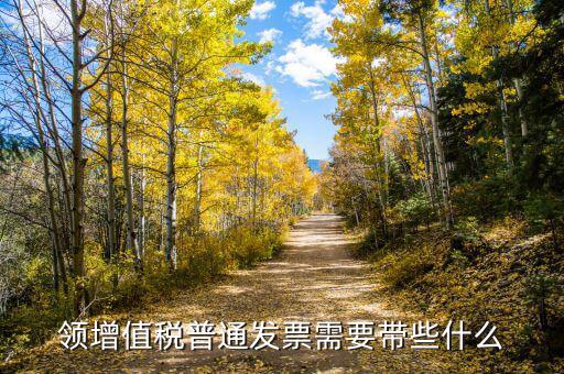 領(lǐng)發(fā)票帶什么資料，去稅務(wù)局領(lǐng)發(fā)票需要帶什么資料去