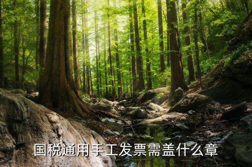 手工發(fā)票需注意什么，關(guān)于手工發(fā)票填開的問題