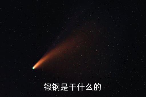 弘遠(yuǎn)泰斯是干什么的，飛踏是干什么的