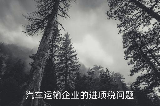 運輸公司的進項是什么，公路運輸業(yè)進項稅額含哪些
