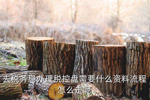 申請(qǐng)稅控盤(pán)需要什么資料，新企業(yè)辦理金稅盤(pán)需要帶什么資料