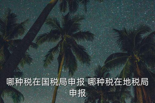 國稅局可以申報(bào)什么稅，在國稅申報(bào)的稅種有哪些稅率是多少