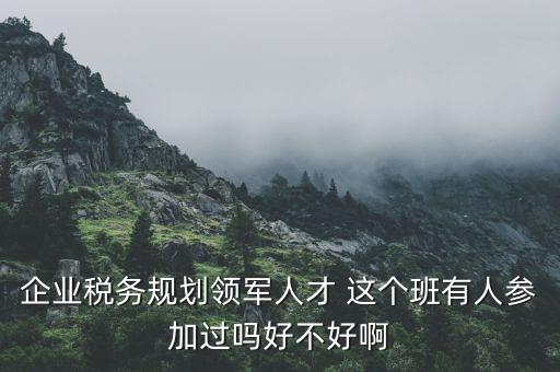 稅務(wù)領(lǐng)軍人才做什么，常溫下超導(dǎo)體可用來做什么