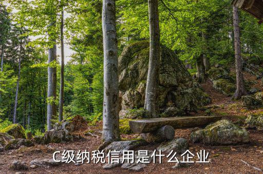 稅務(wù)等級c級是什么意思，申請一般納稅人abc類是什么意思