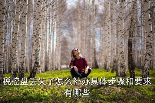 稅控盤丟失為什么要報案嗎，稅控盤丟失怎么處理