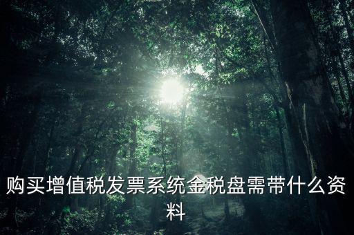 購買金稅盤要什么資料，購買增值稅發(fā)票系統(tǒng)金稅盤需帶什么資料