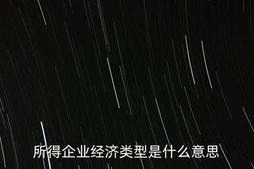 所得項(xiàng)目是什么意思，所得企業(yè)經(jīng)濟(jì)類型是什么意思