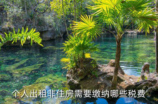 個(gè)人出租非住房交什么稅，個(gè)人出租非住房出現(xiàn)行綜合稅率是多少是哪些稅種
