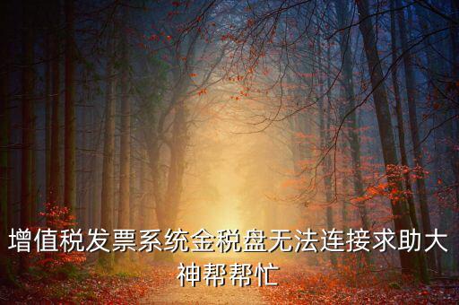 為什么金稅盤連接不上，金稅盤直接進(jìn)不去怎么回事啊